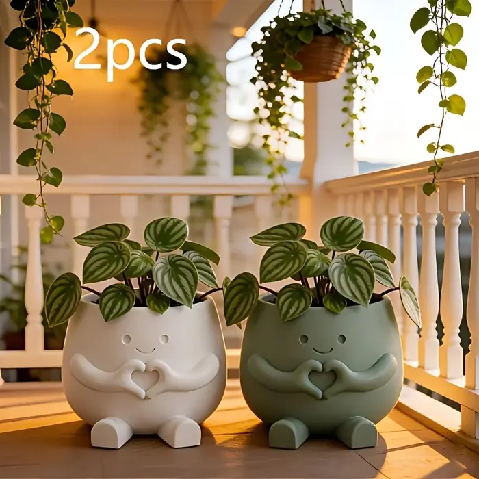 2 pots de plantes porte-bonheur