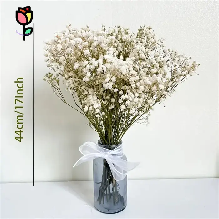 Bouquet de fleurs séchées pour bébé