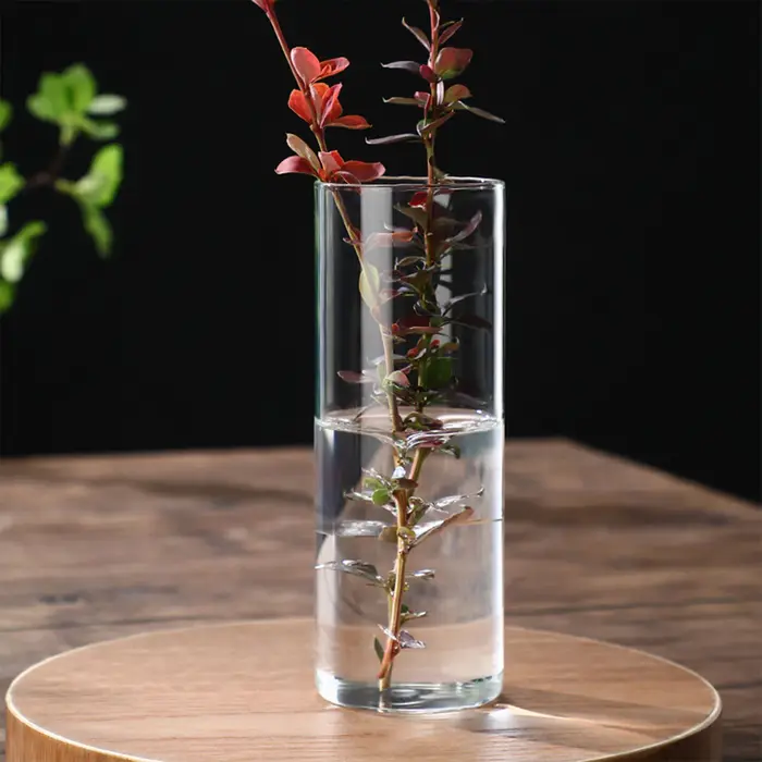 Vase à fleurs hydroponique moderne à petits intervalles