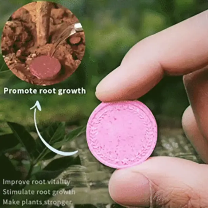 Tablette universelle à libération lente pour jardinage domestique, navigateur organique pour plantes
