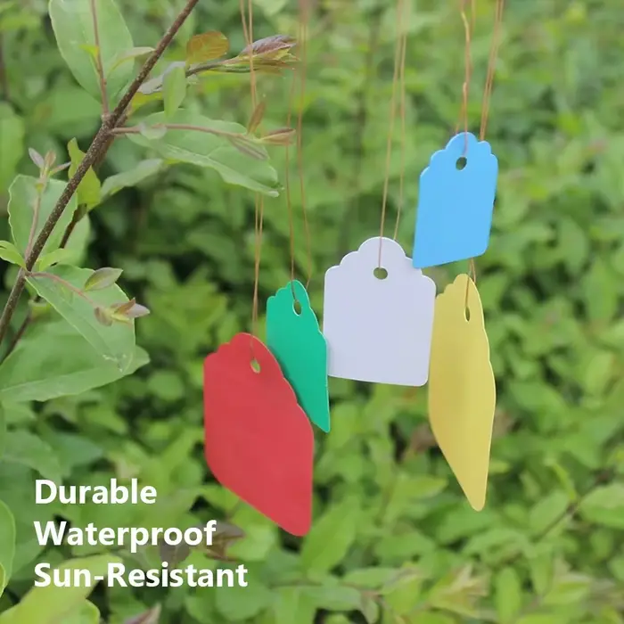 Étiquettes de plantes réutilisables, 100 pièces, pour le jardinage, Pot de fleur de qualité, Pots de