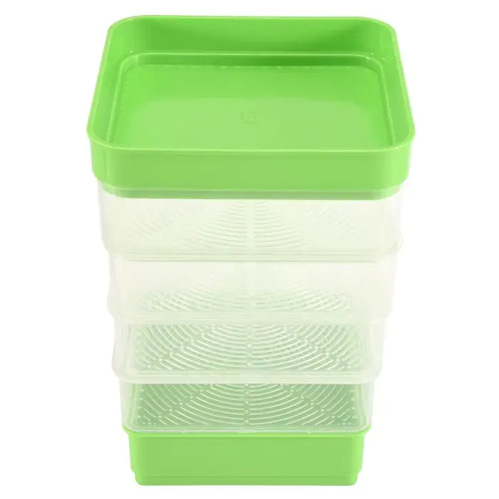 Kit de Germination de graines de haricots