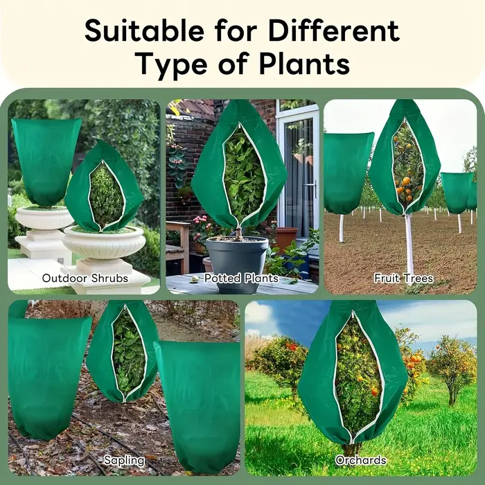 Couverture de Protection des plantes d'hiver