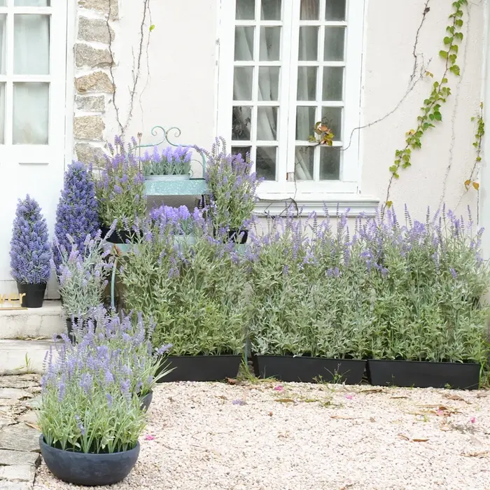 Plante en Pot Artificielle de 2