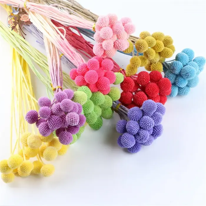 Fleurs IkFlowers séchées CeleButton pour décoration de table