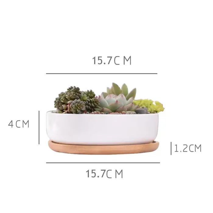Pot de fleurs rond en céramique blanche
