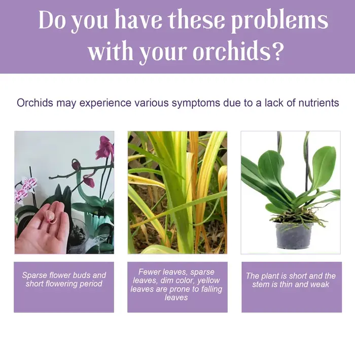 Engrais liquide spécial pour fleurs d'orchidées