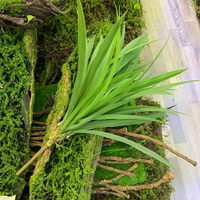 Plante artificielle en plastique pour la décoration murale de la maison