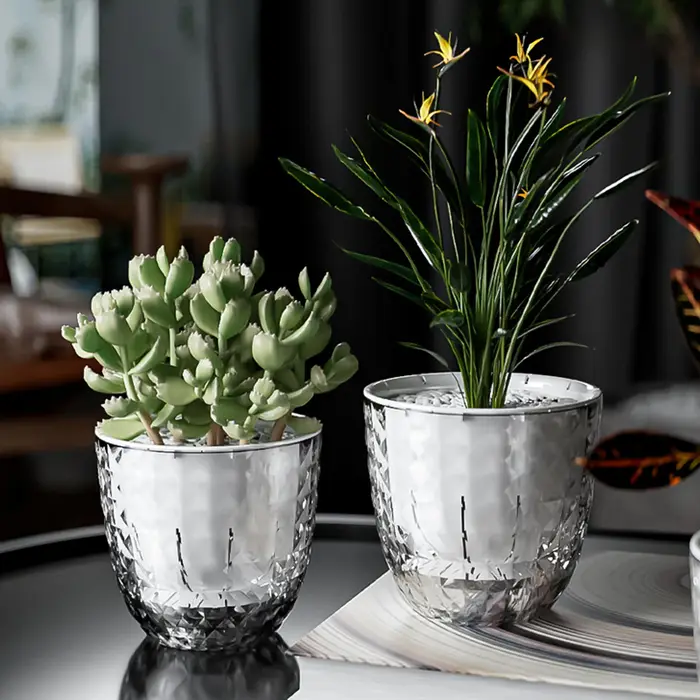Vase à plantes hydroponiques avec corde en coton