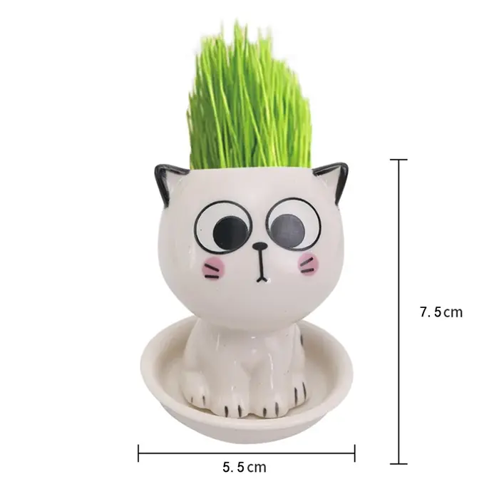 Mini Pot de Fleurs en Céramique en Forme de Chat