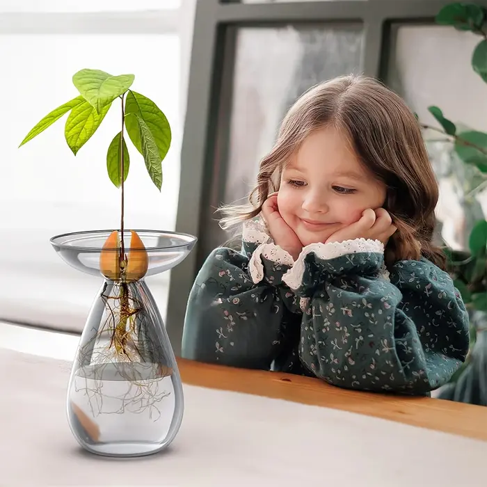 Vase de démarrage de graines d'avocat Vase de plantation d'avocat en verre transparent Bouteille hydroponique d'avocat simple et exquise pour jardinière en croissance