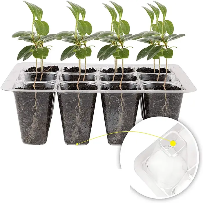 Pots de plantes en plastique avec trou de 6/12 cellules, boîte de culture, pots de semis de plantes,