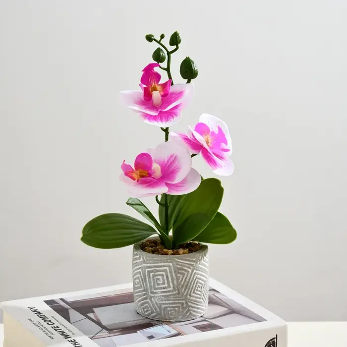Créatif 3 fleurs et 3 feuilles Phalaenopsis bonsaï Simulation fleur