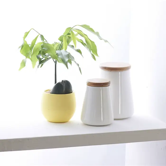 Mini pot de fleurs rond en plastique écologique