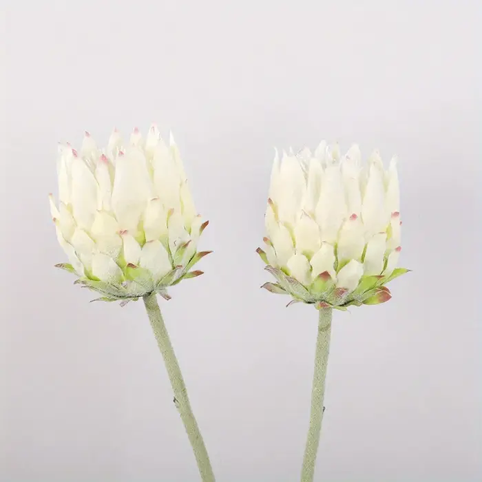 Fleurs artificielles de chardon nordique, fleurs empereur, fleurs pour mariage et fiançailles, fleurs décoratives pour fête et maison, 2 pièces