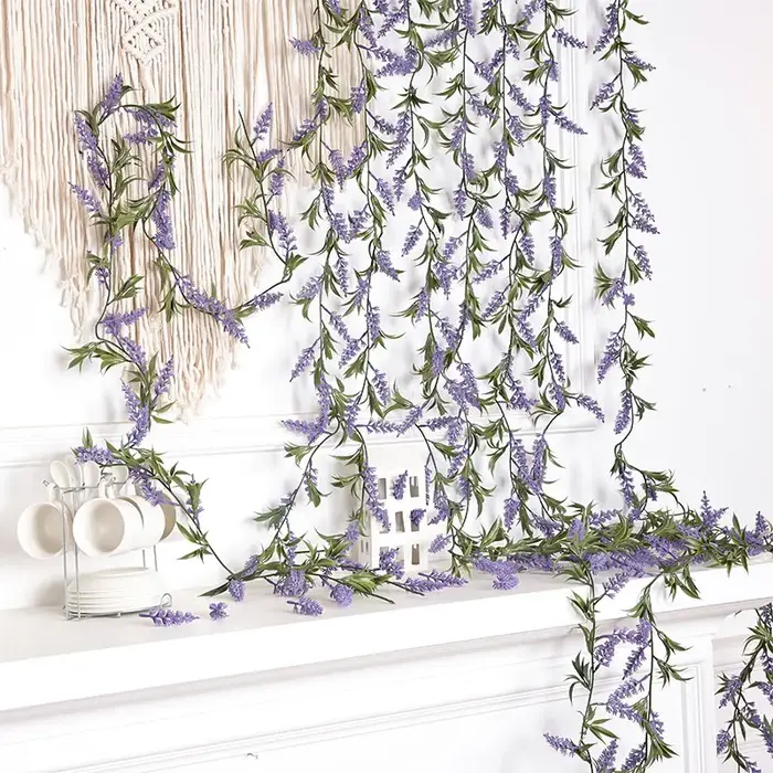 Plante de décoration pour la maison