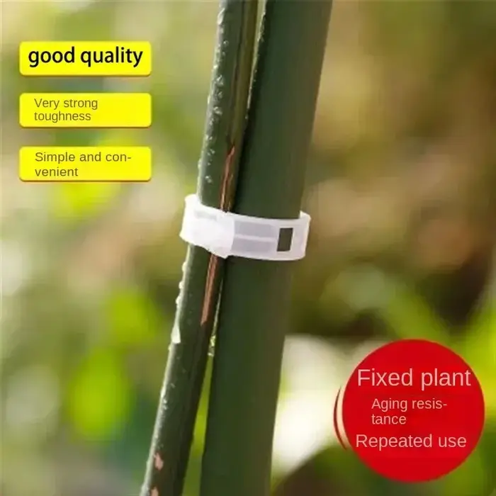 Clips de Support pour plantes