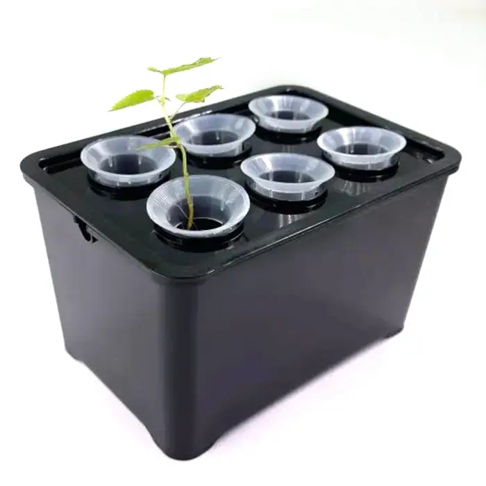 Système de culture hydroponique blanc/noir, boîte hydroponique, Pot de pépinière à 6 trous pour plantes d'intérieur de jardin, jardinière de culture végétale sans sol