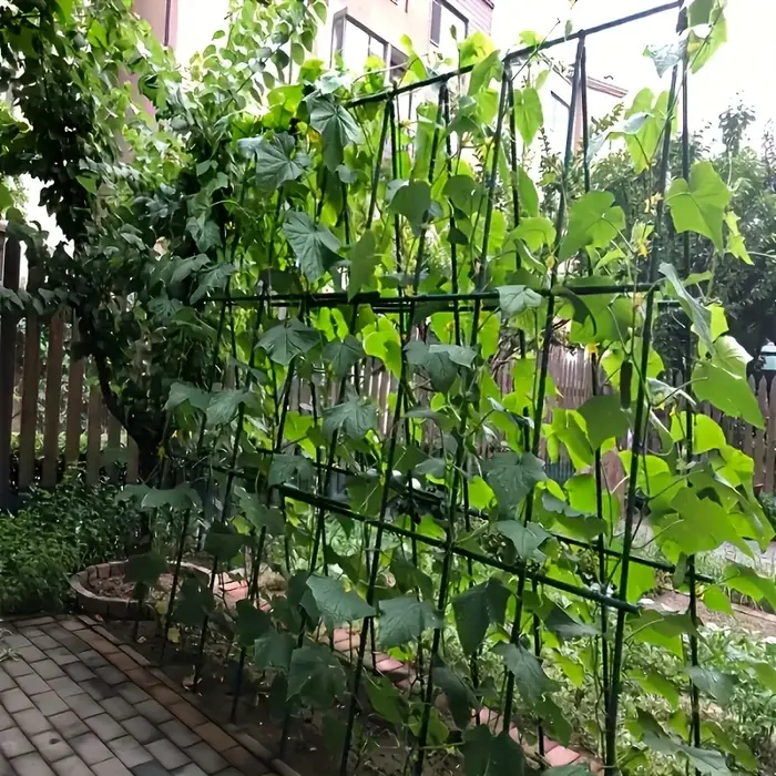 10 piquets en bois + 5 connecteurs