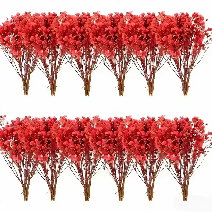 50 Pièces de Fleurs Séchées Naturelles Colorées Gypsophiles pour Arrangements Floraux DIY, Cadeaux de Mariage, Décoration de la Maison, Remplisseurs de Vases