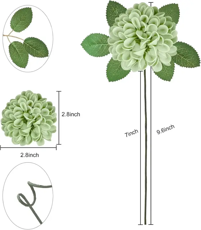 Fleurs de Dahlia vert chasseur et vert sauge