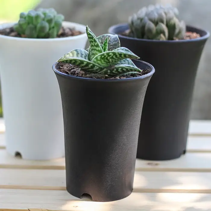 Pot de fleurs rond épaissi pour plantes succulentes, bassin Vientiane, jardinière de fleurs réutilis