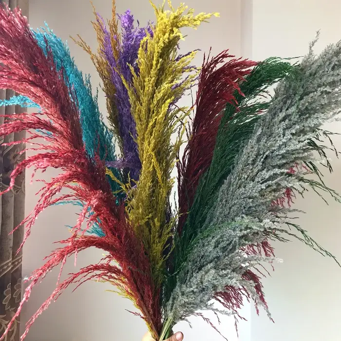 Grand Plume d'herbe de Pampa séchée de 110 à 120cm