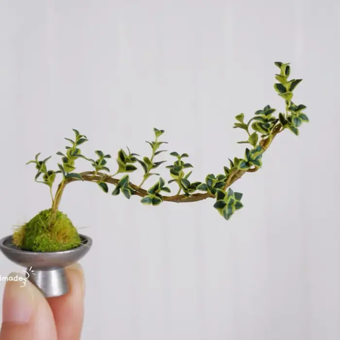 Mini Pots de plantes en argile faits à la main