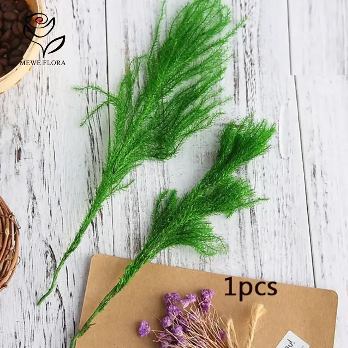 Lycopodium séché éternel aide les fleurs