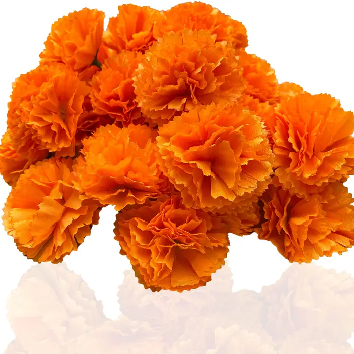 Têtes De fleurs De souci en vrac
