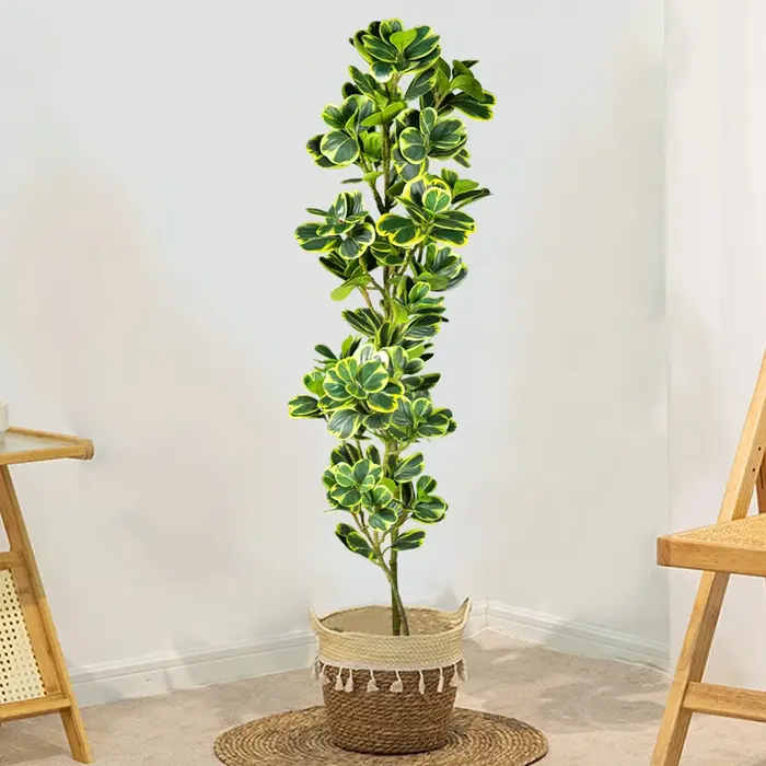 Arbre Ficus artificiel 76cm/115cm