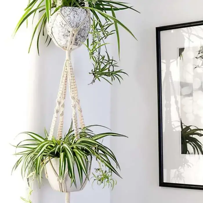 Cintres pour plantes en macramé