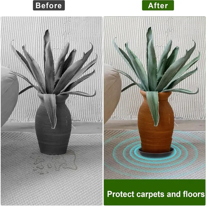 Soucoupes pour plantes de 6