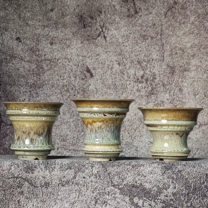 Pots Caudex, pot de fleurs en céramique