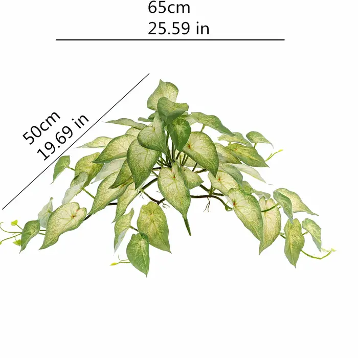 Simulation de Plantes Artificielles Rares