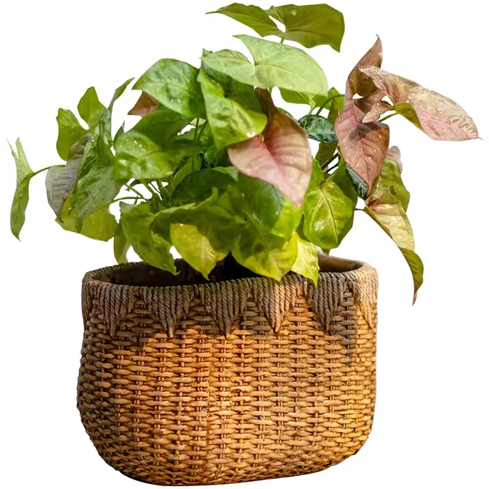 Pot de fleur en rotin tissé rustique