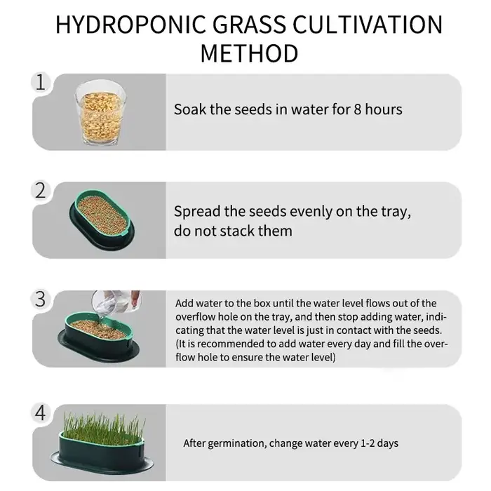 Nouveau plat de germination de chat de compagnie Pot de culture plante hydroponique chat herbe Germi