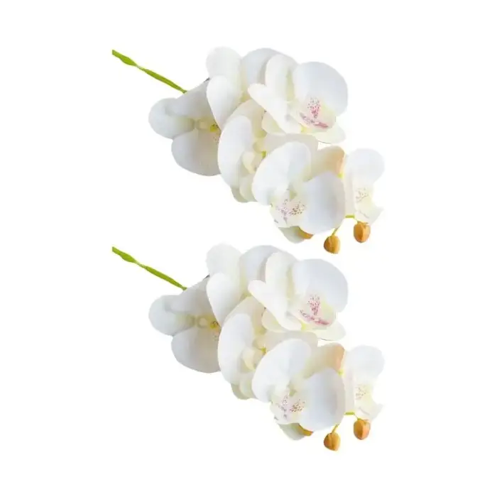 E8BD – lot 2 fleurs d'orchidées papillon