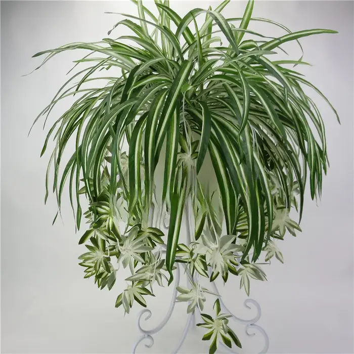 Plantes artificielles murales suspendues Chlorophytum