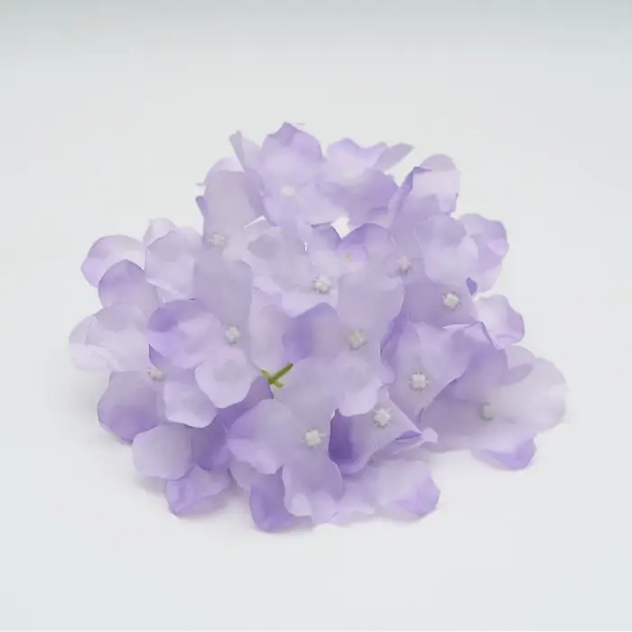 Tête de fleur d'hortensia de Simulation