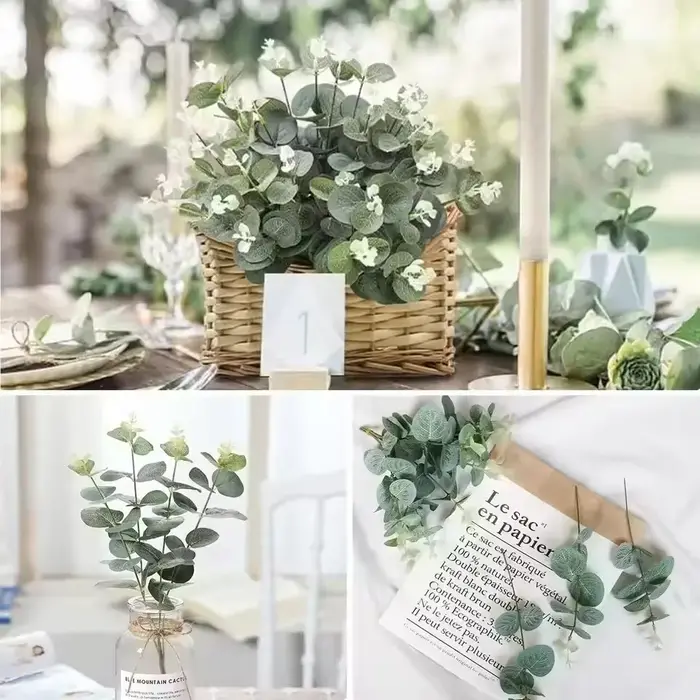 10 tiges de feuilles d'eucalyptus vertes