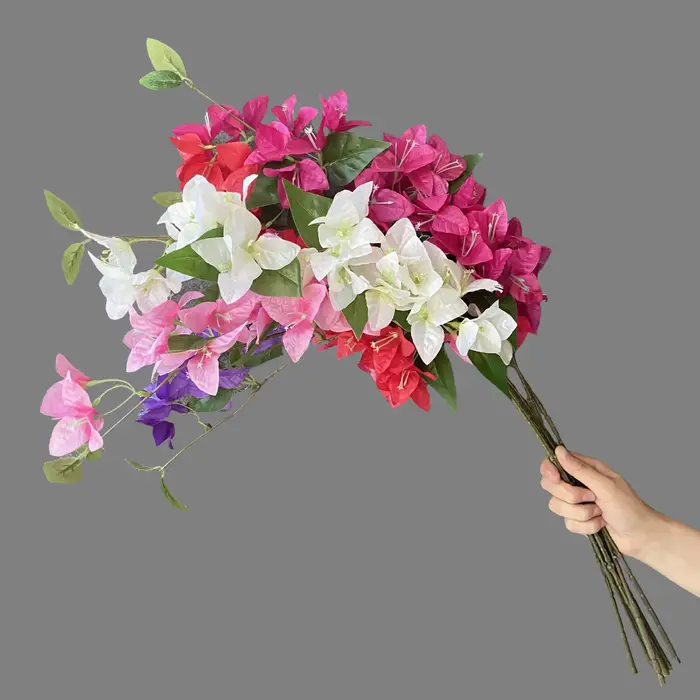 Simulation de Bouquet de bougainville