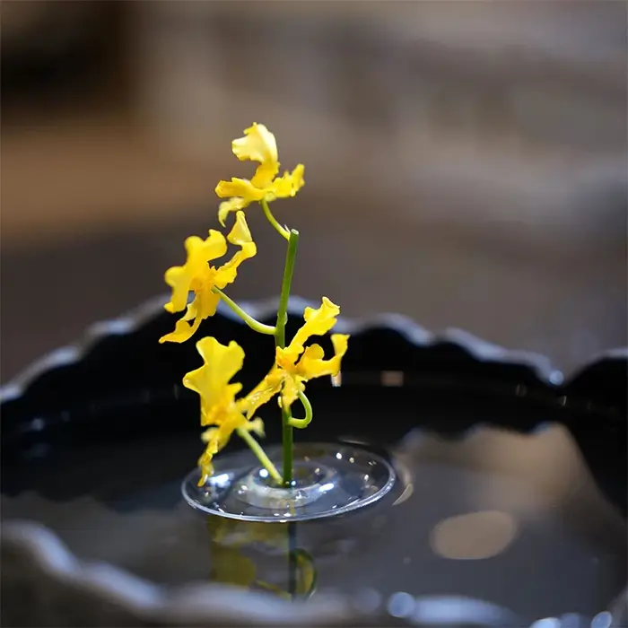 Support Floral flottant hydroponique