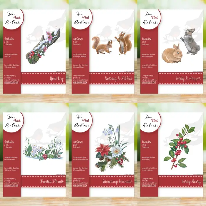 Nouvelle collection de matrices florales givrées 2026 pour scrapbooking