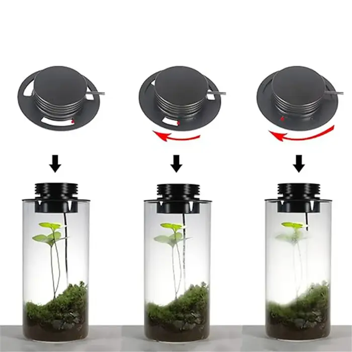 Lampe de culture de plantes Terrarium USB à intensité variable avec minuterie pour Vases, croissance des plantes d'intérieur, paysage de jardinage succulent et Miniature