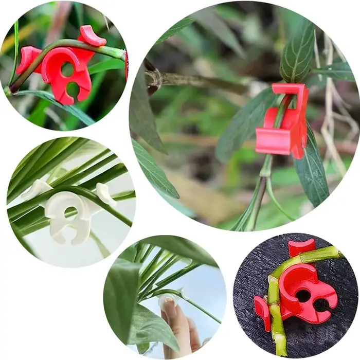 10/20/30 pièces cintreuse de plantes Clips d'entraînement 90 degrés