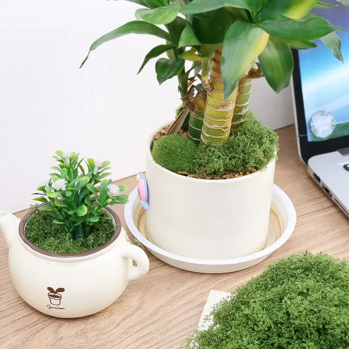 Plantes vertes artificielles 500/30G