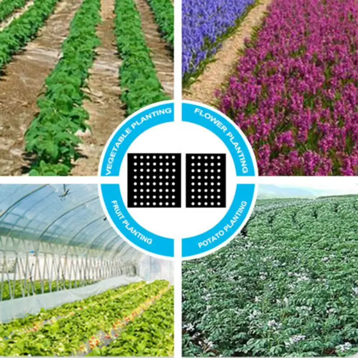Film PE pour plantes de couverture au sol