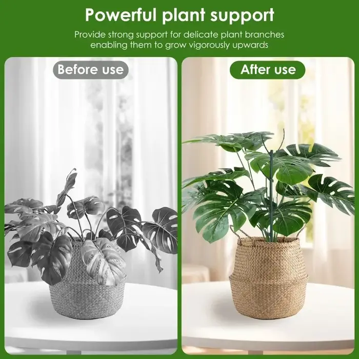 Piquets de Support pour plantes