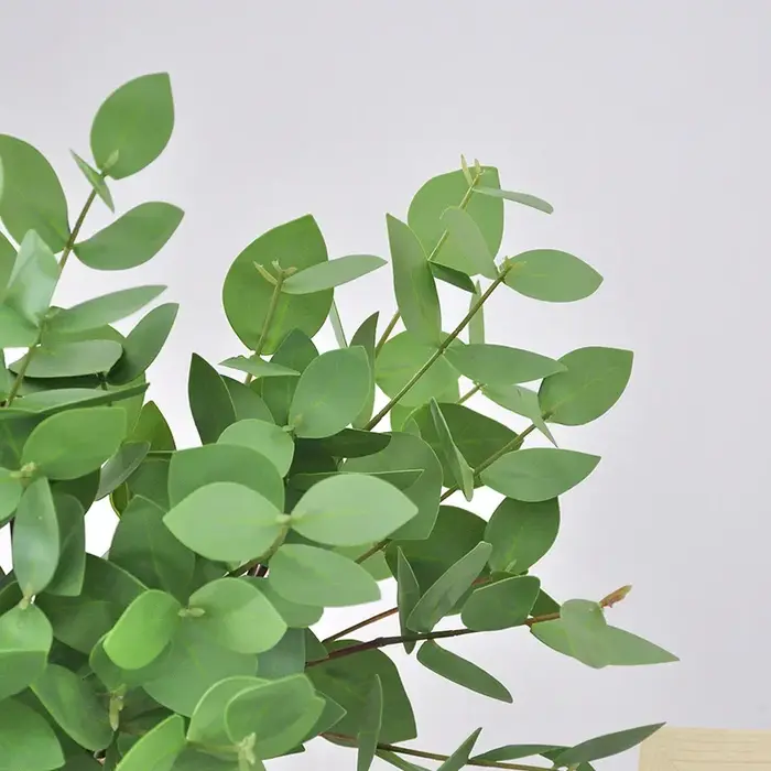 Feuilles d'eucalyptus artificielles pour la décoration de la maison